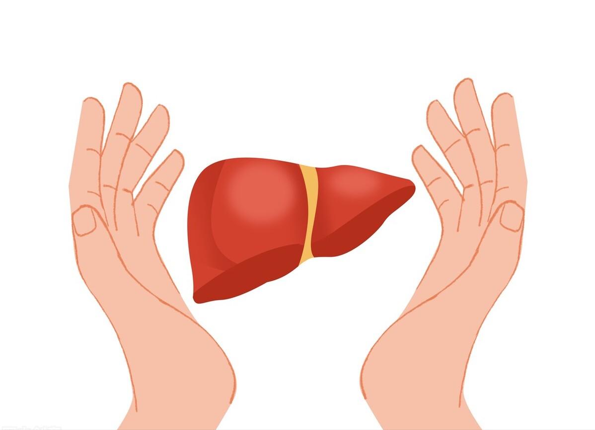 具有利胆保肝作用药物,肝纤维化能吃消炎利胆片吗