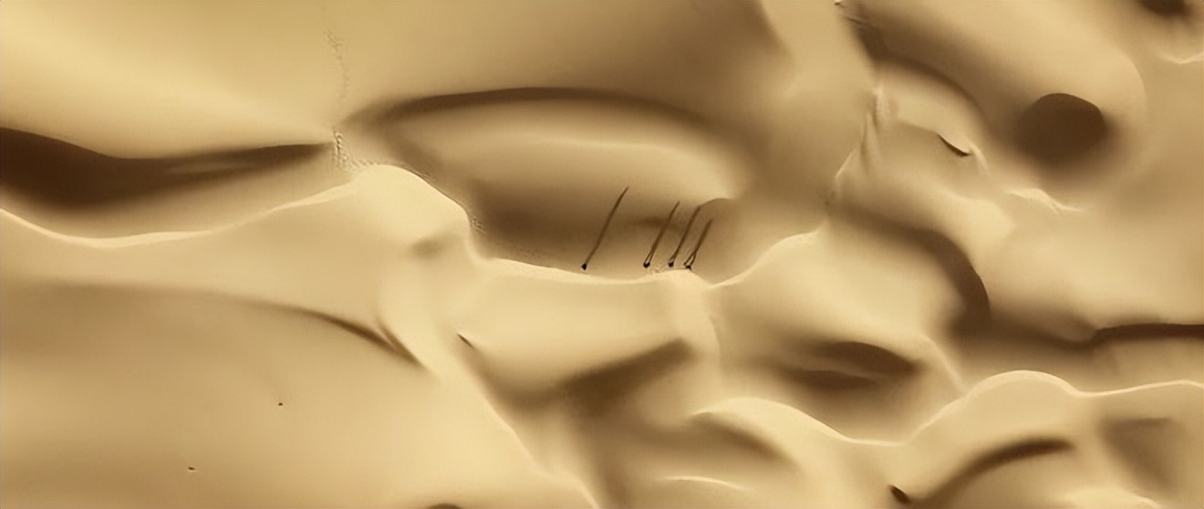 这群人想方设法，终于在沙漠中心洗上了热水澡