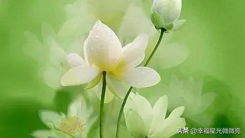 心有多静福有多深什么意思,心有多静福有多深人生感悟