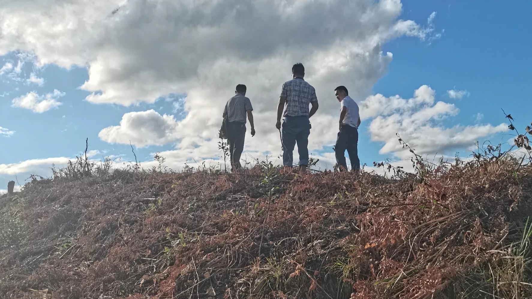 农村办厂致富项目室内装修,农村创业致富的好项目养殖业