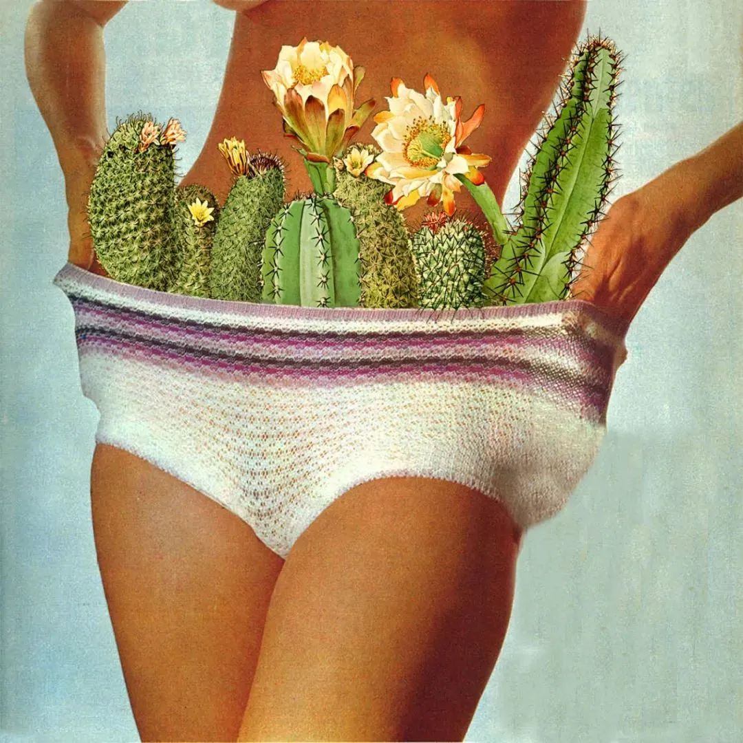 papapa后，到底尿还是不尿？