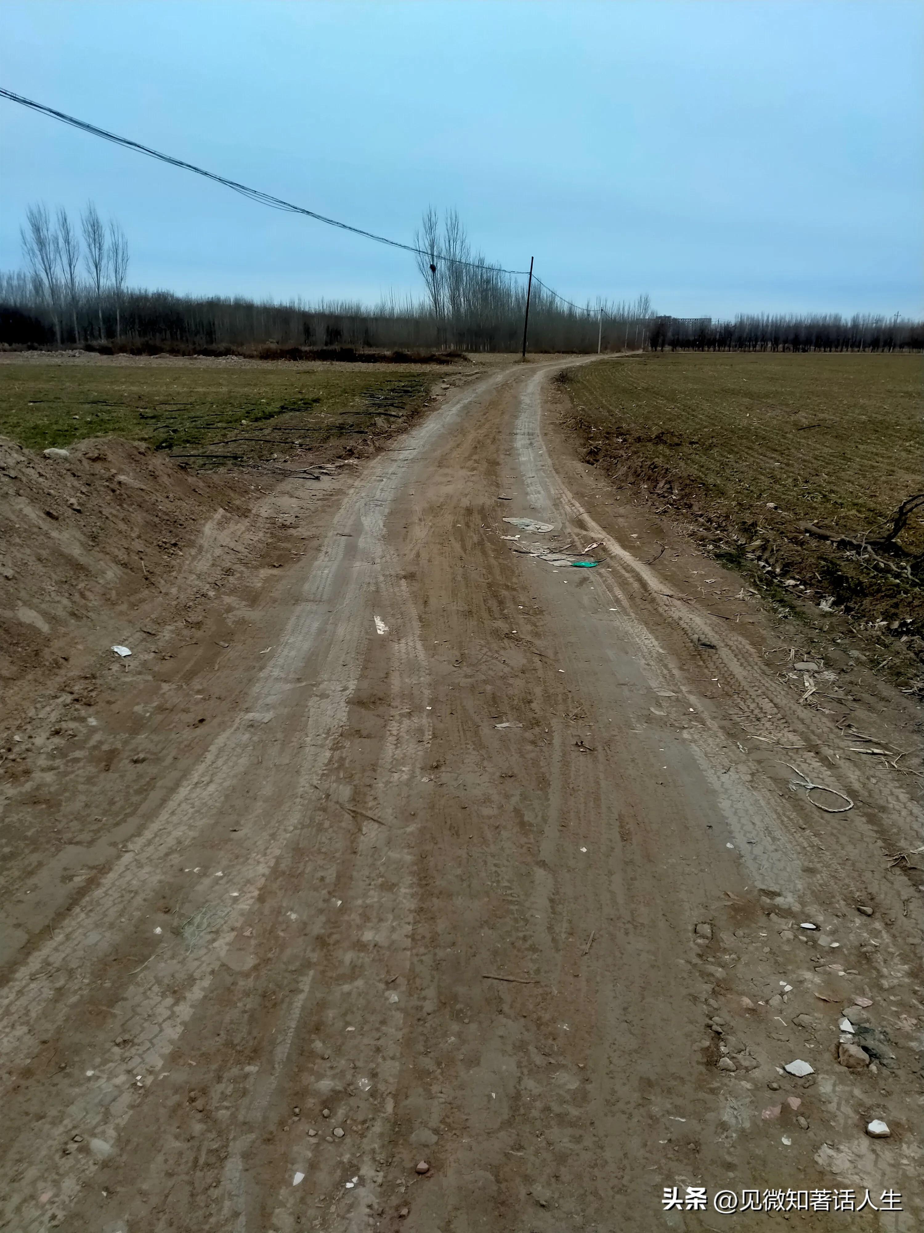 霸州旅游一日游攻略,胜芳一日游最佳路线