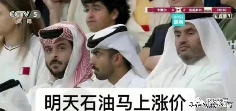 金晨模仿卡塔尔小王子晒照,金晨模仿卡塔尔王子被起诉了吗