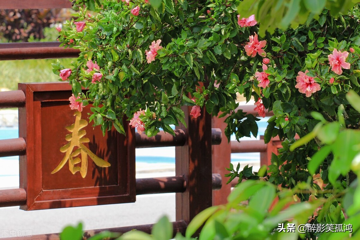 描写春天的成语以及古诗,关于春天的古诗和成语大全