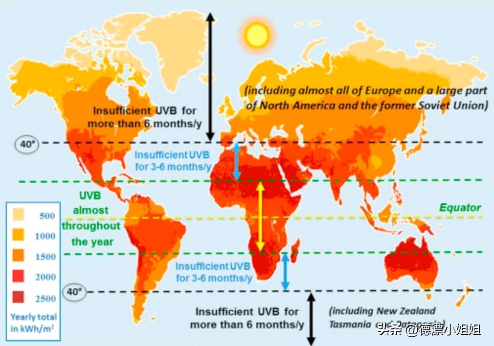 德国人每天吃什么食物,在德国大家都吃什么药来抵抗新冠
