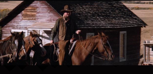 只因一句“太小了！”，竟惨遭毁容，不想引来一个传奇杀手。