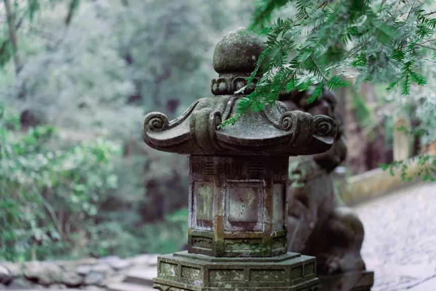 腾龙28-75使用体会,腾龙28-200旅行