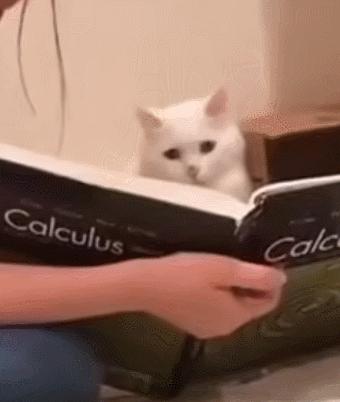 每日一笑,自己拆的家就是有安全感