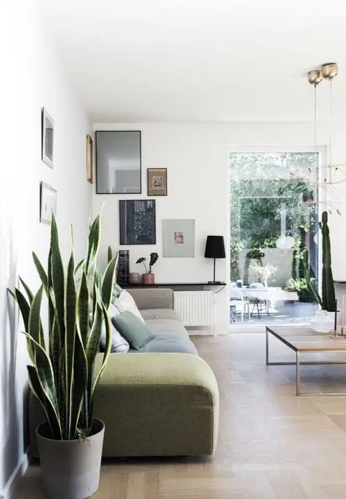 冰箱推荐2020年3000元左右冰箱,8000元至1万元冰箱推荐