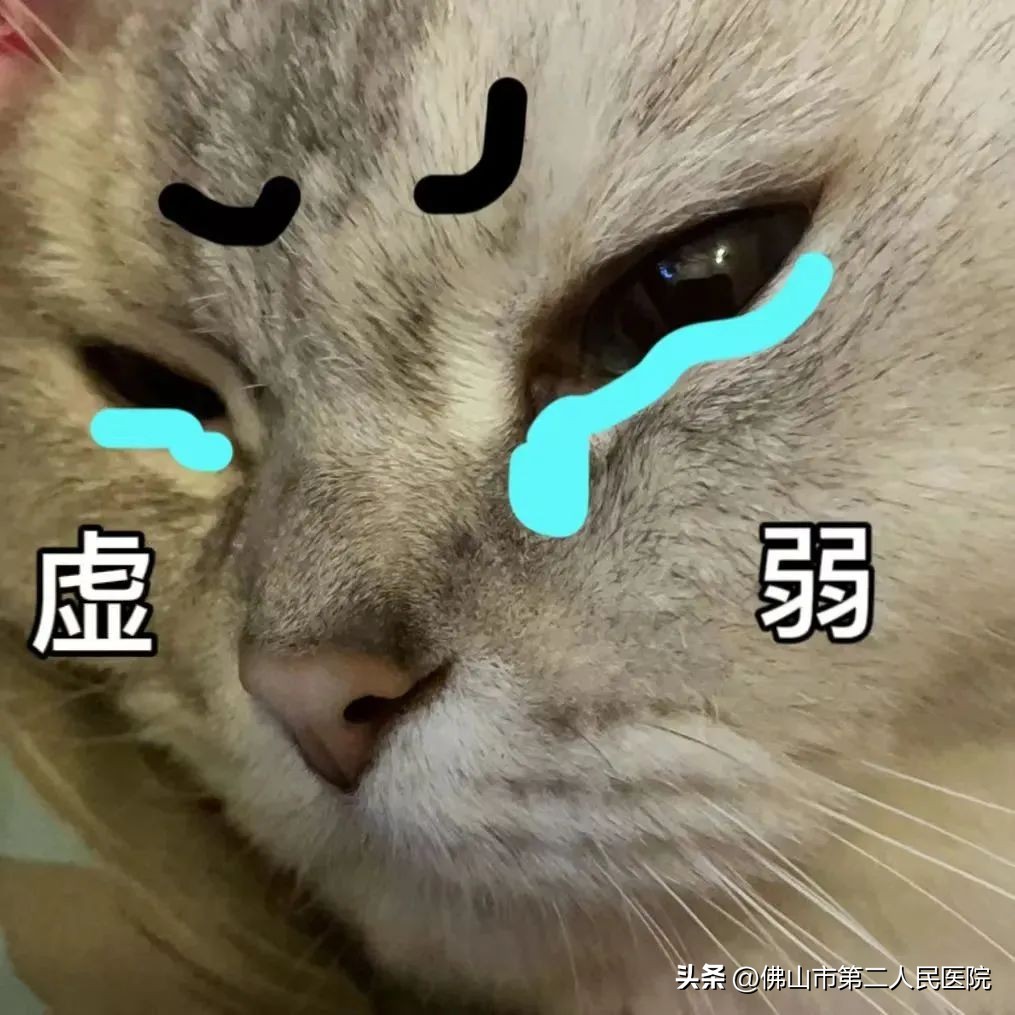 拉肚子发烧是甲流还是诺如,上吐下泻是诺如病毒还是甲流