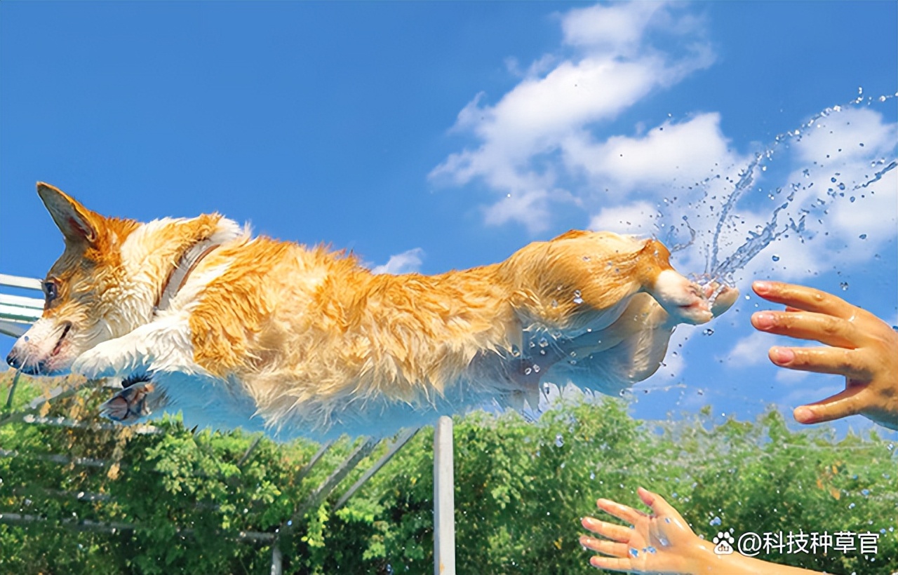 努比亚z40spro还值得买嘛,努比亚z40spro星空典藏版评测