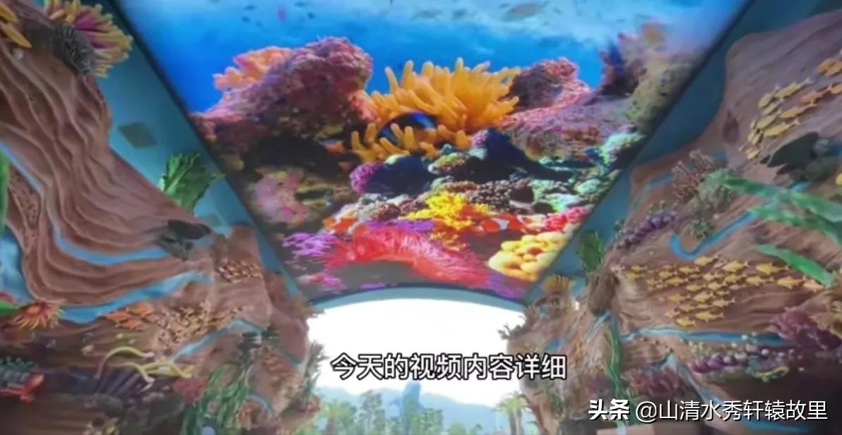 珠海长隆海洋王国一日游攻略,珠海长隆海洋王国一日游多少钱