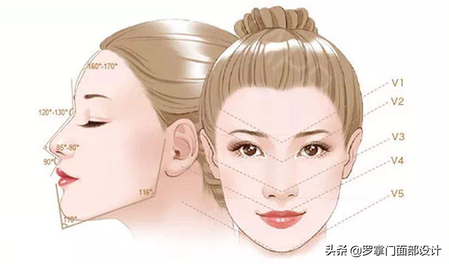 脸部设计面部美学,脸部设计方案