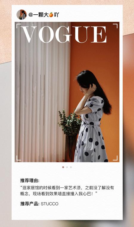 荷兰蔻帝是哪一年引入到中国的,荷兰蔻帝进入中国市场第三年