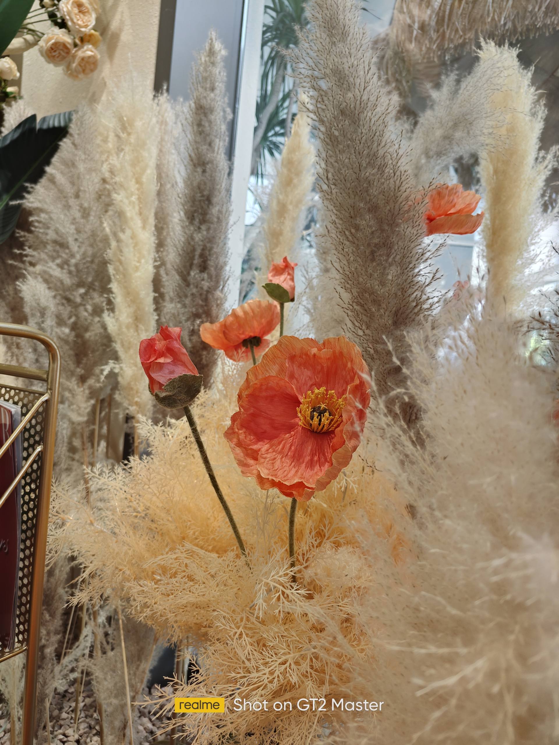 真我gt2大师探索版最新评测,真我gt2大师探索版评测最新