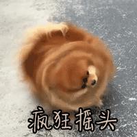 孕妇长痘痘能用什么祛痘产品,孕妇长痘可以用什么祛痘产品