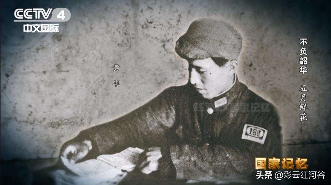 哪一年宣布五月4日为青年节,5月4日青年节早上好图片