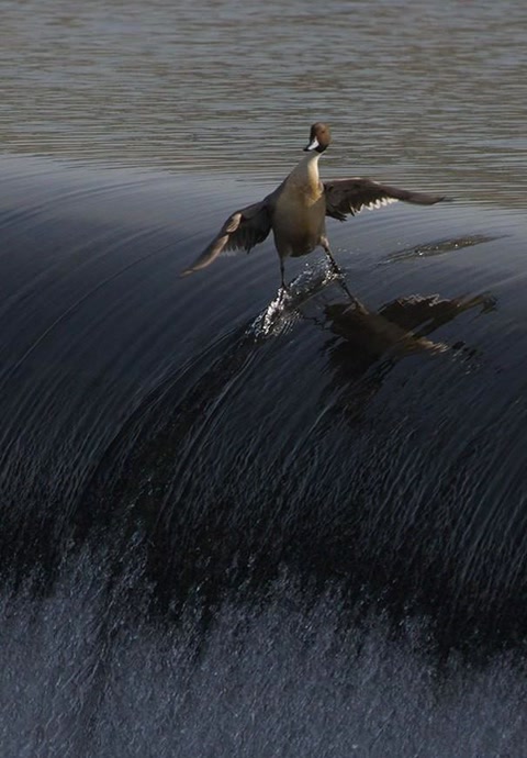 十大经典抓拍照片,100张绝美摄影照片