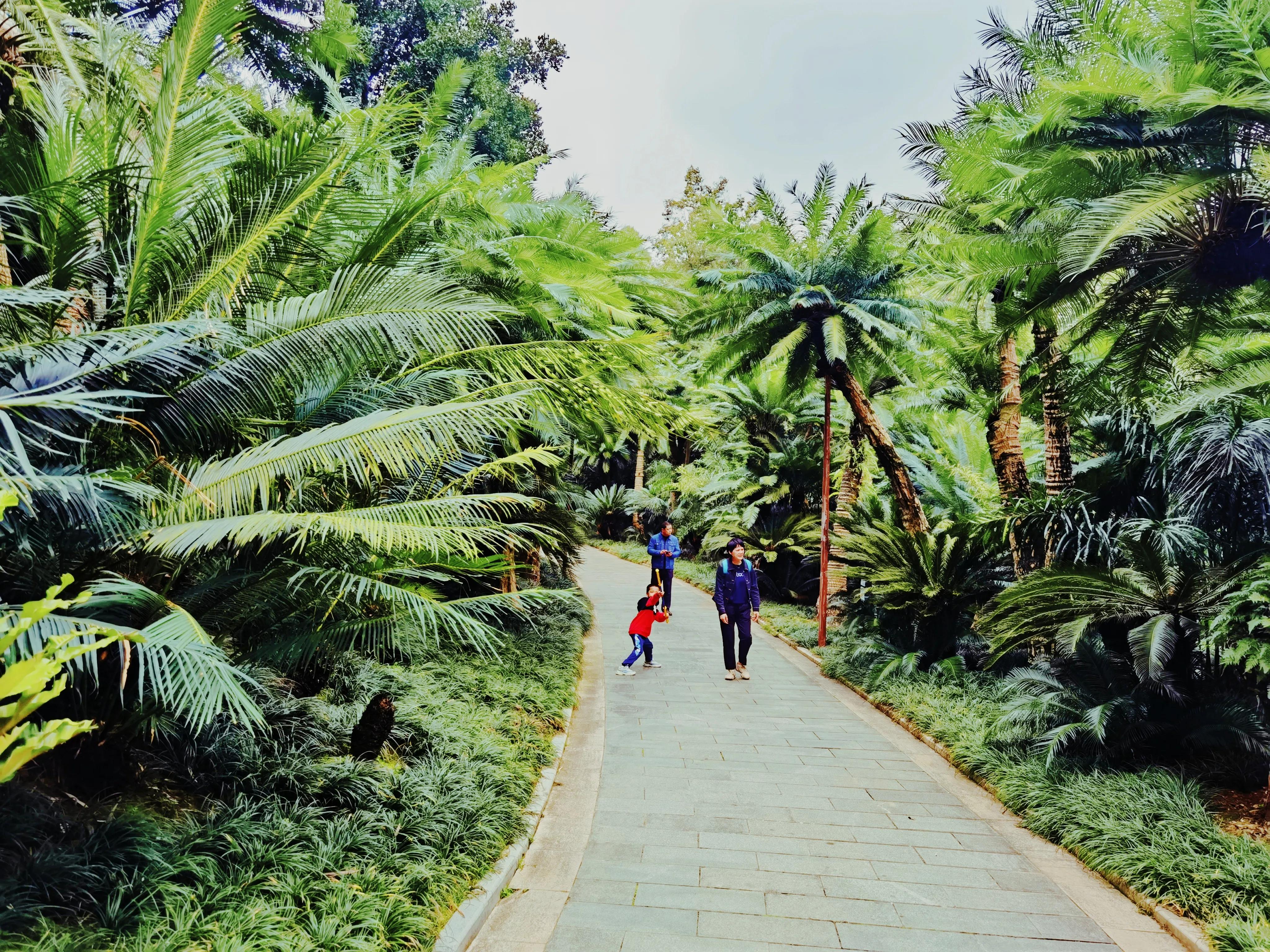 南宁是一个什么样的城市,南宁是个什么样的城市