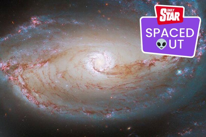 哈勃望远镜观察宇宙星系,哈勃望远镜134亿光年外的星系