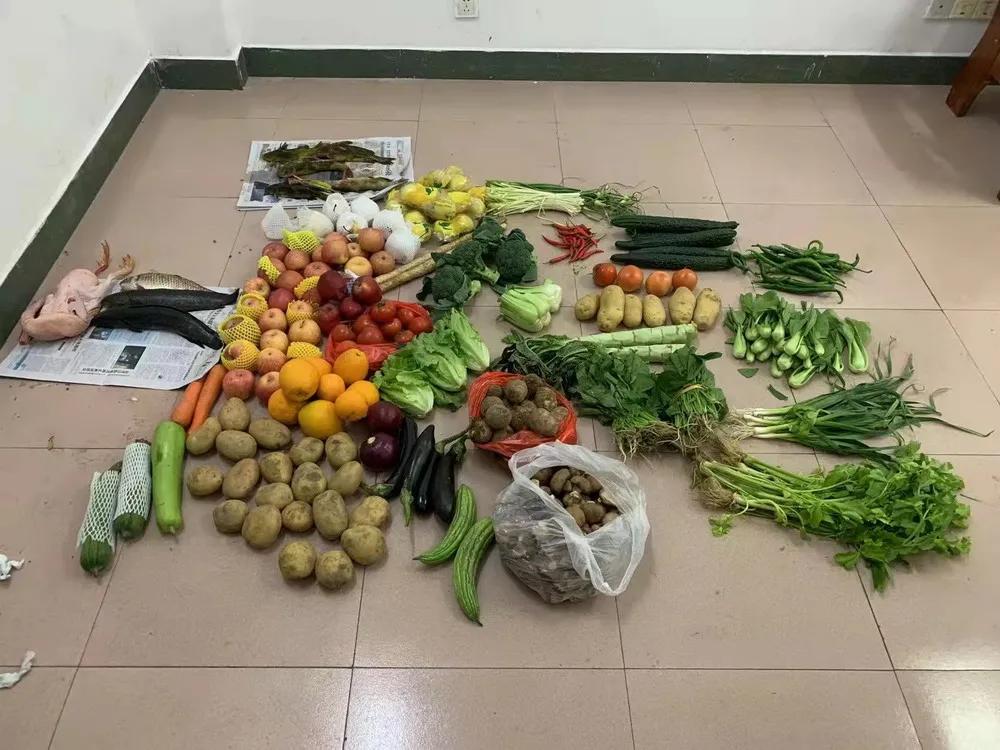 靖边公安破获一起盗窃农产品案,男子玩偷菜游戏上瘾多次盗窃蔬菜