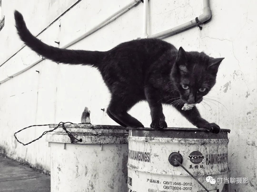 iphone7拍照较其他手机的优势,iphone7与其他手机对比图