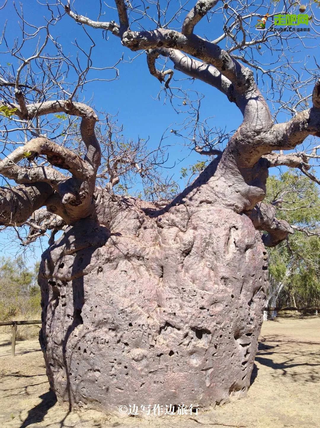 24岁女孩旅行50个国家,去外国边打工边旅行