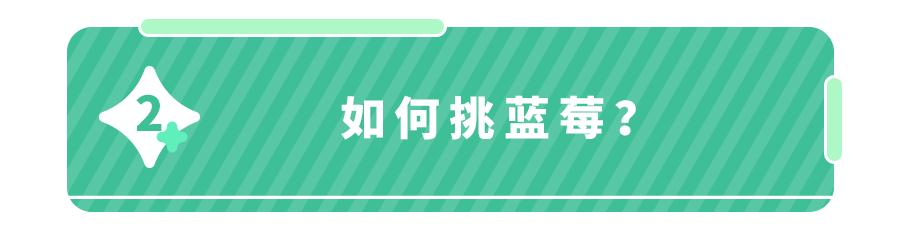 蓝莓吃了以后对身体起到什么作用,蓝莓护眼的功能与作用是什么