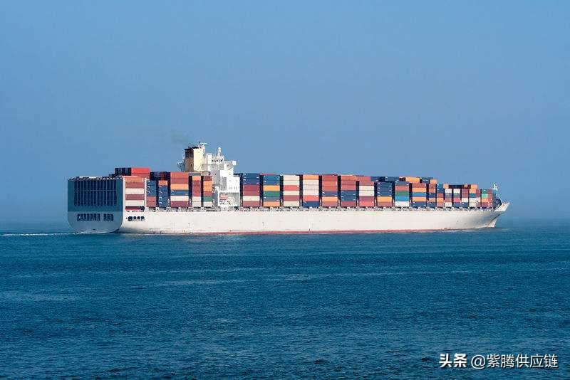 货运代理与报关行：有什么区别？