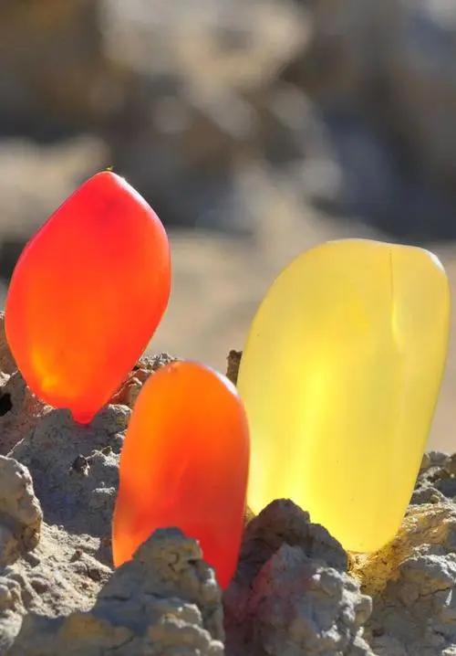 戈壁滩真的有好看的石头吗,戈壁滩上的各种石头