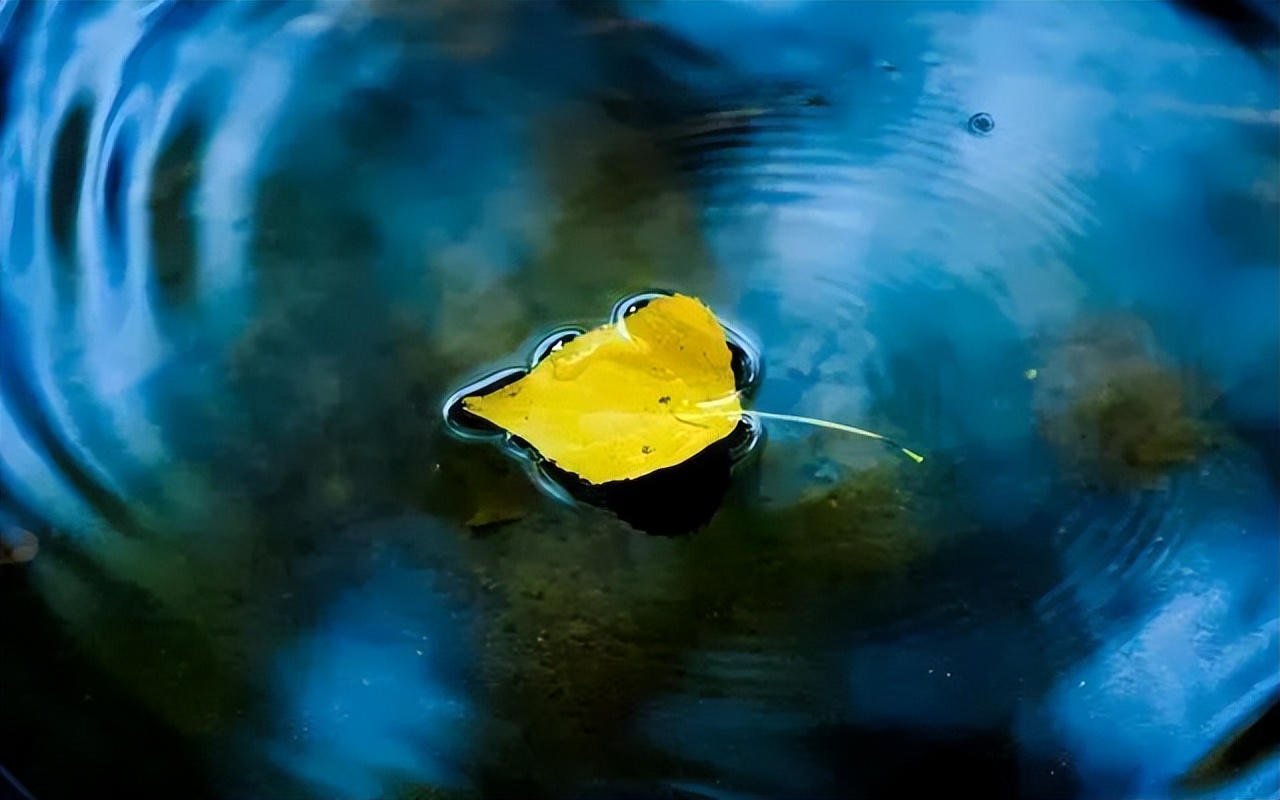 亿万富翁积累财富秘密,获得财富的秘密是什么呢