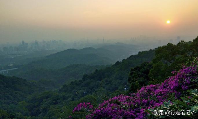 广州白云山石井夏茅民宿推荐,白云山民宿排行榜前十名