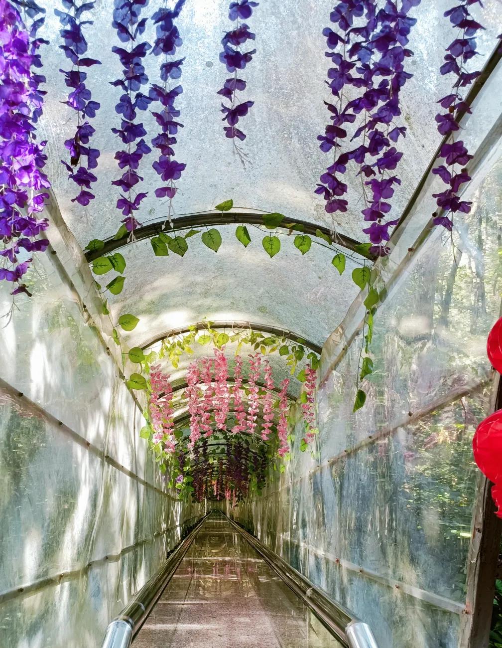 四会奇石河景区的银龙大瀑布,肇庆出发2-3天短途旅游推荐