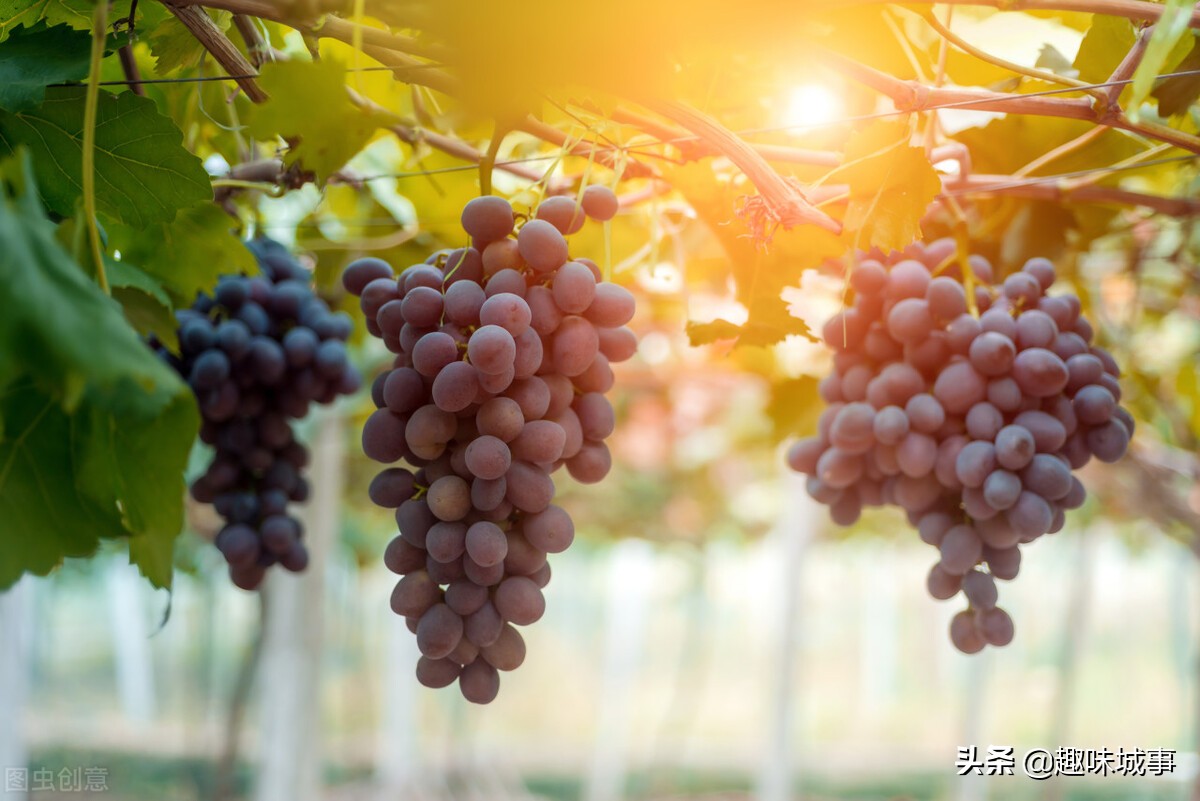 喝什么牛奶可以美白又不会变胖,美白有效方法吃的或喝的