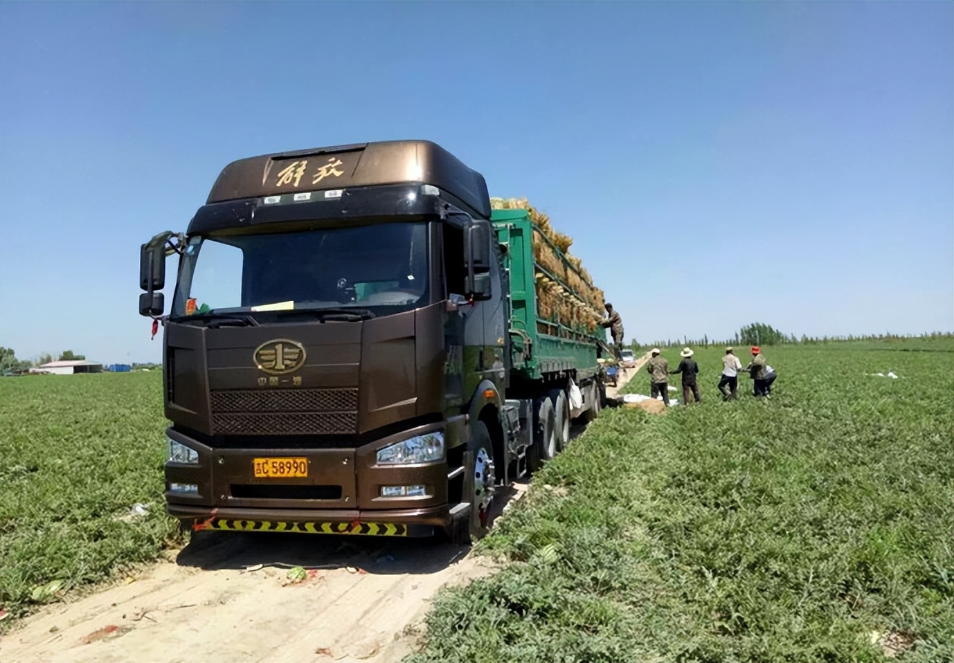 司机拉绿通过收费站后续,货车拉西瓜过绿通