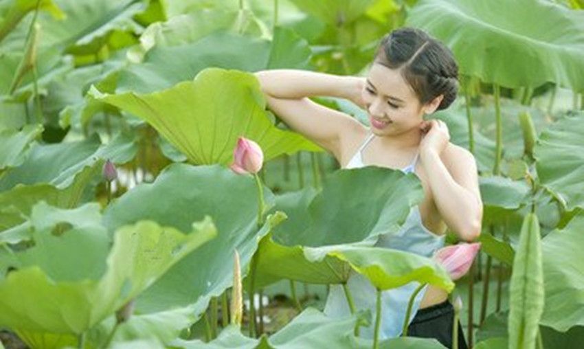 采莲曲描绘采莲姑娘美丽的诗句,赞美采莲歌的七绝诗