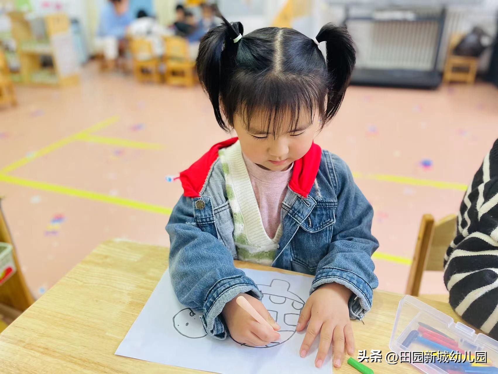 课程故事乌龟大班,嗨小鸭课程故事