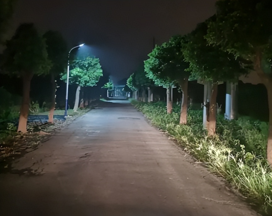 2014年,桃木枝戳穿*体下**?河北女子死状诡异,求爱日记本藏杀机