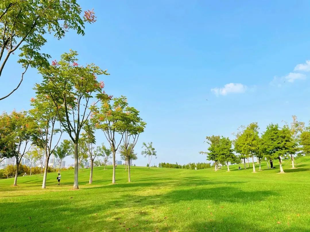 鍚堣偉娣卞鎵撳崱娓哥帺,鍚堣偉涓夋渤鍙ら晣澶滆壊