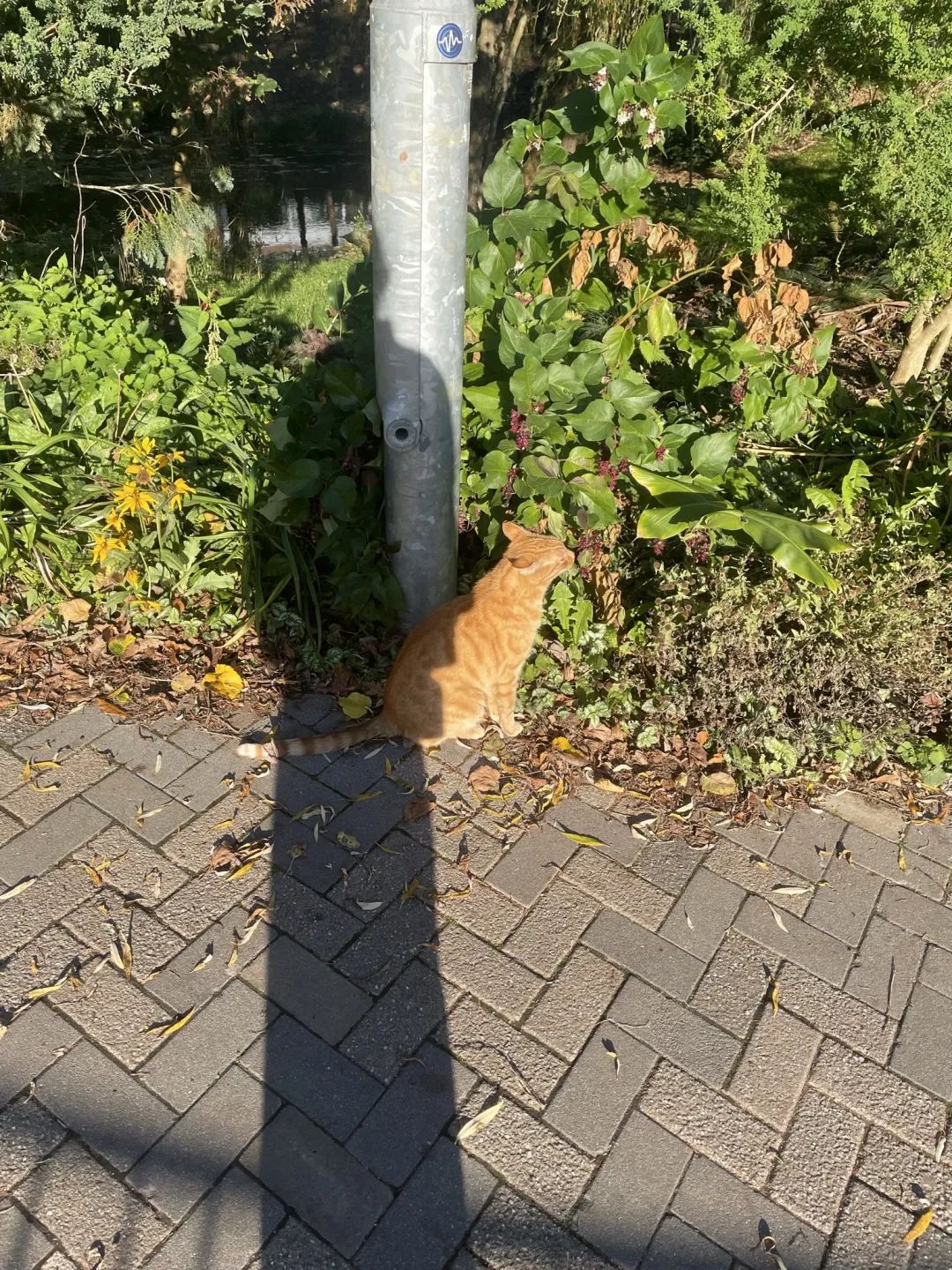 英国和香港硕士选哪个,香港硕士和英国硕士对比