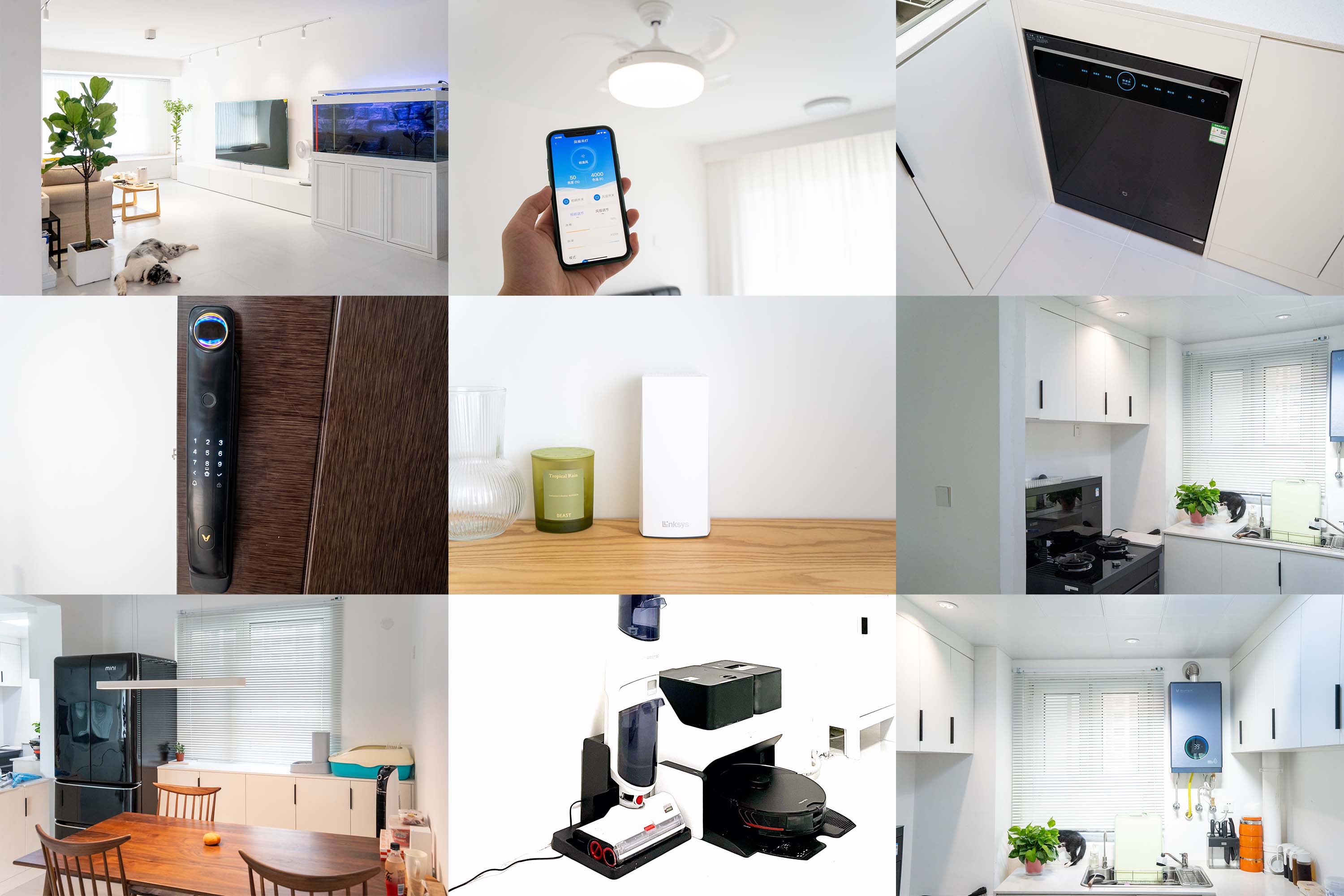 wi-fi6路由器mesh组网,wifi6组网好还是mesh好