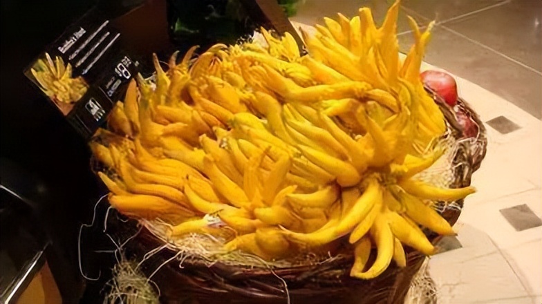 浣涙墜瑙ｉ儊,浣涙墜鐞嗘皵