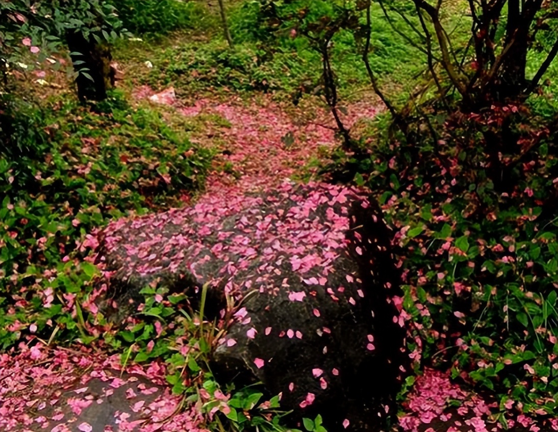 季国强,季国强的唯美诗句