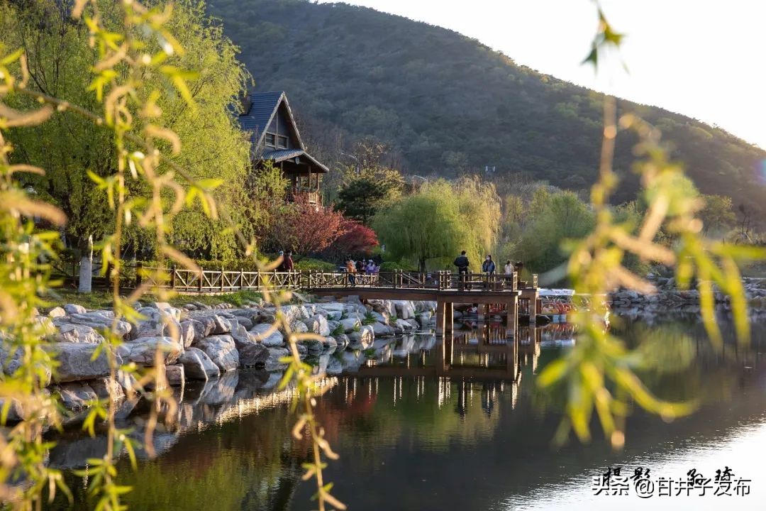甘井子踏青,大连甘井子踏青好去处