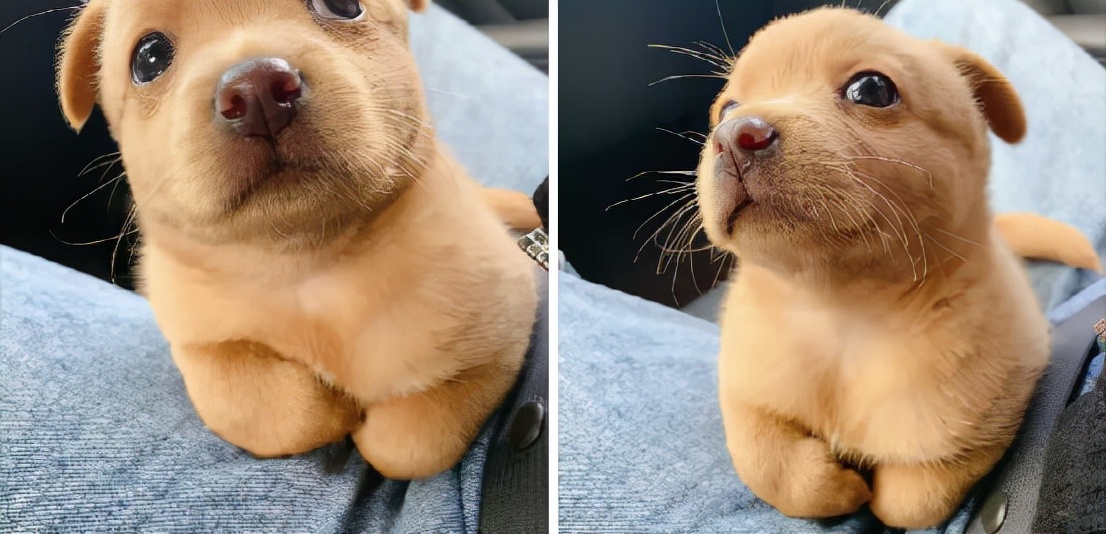 神回复你为什么不谈恋爱,神回复女朋友