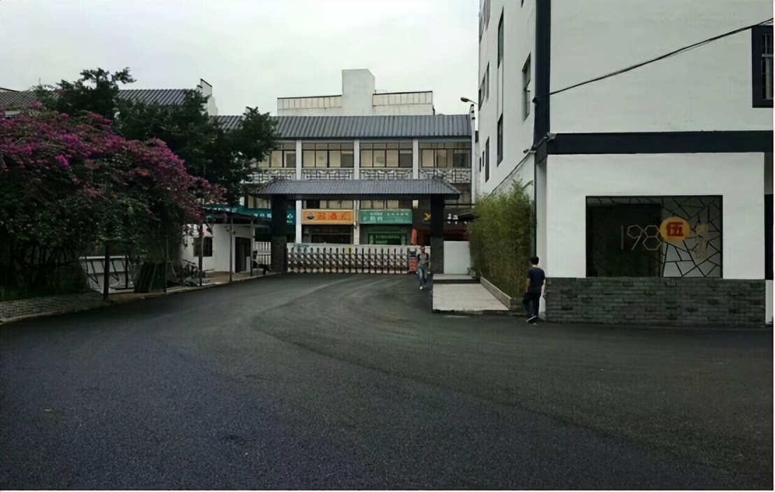 一包西兰花,中国西兰花种子突破