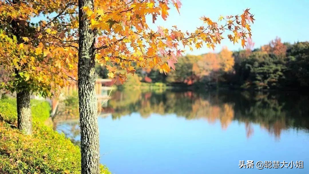 宫崎骏三鹰美术馆完整版,三鹰之森宫崎骏第二弹图鉴