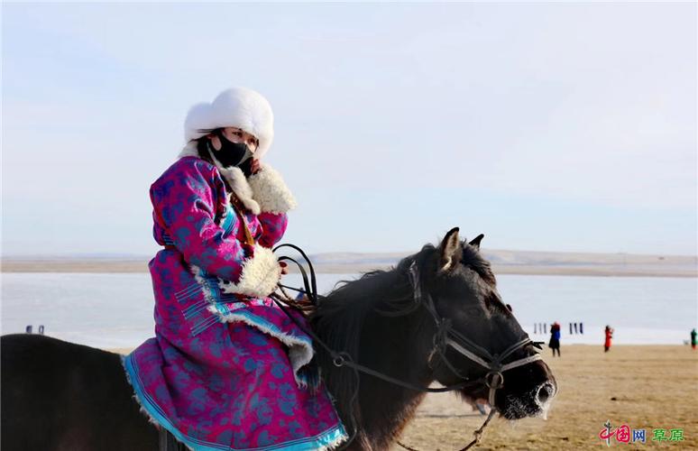 内蒙旅游团报名五日游可以吗,内蒙古旅行社四日游价格