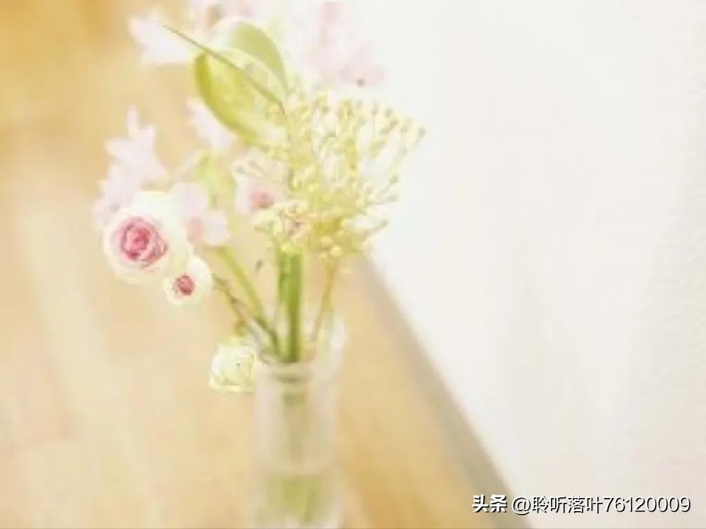 我爱你谐音520还是521,到底是520还是521代表我爱你