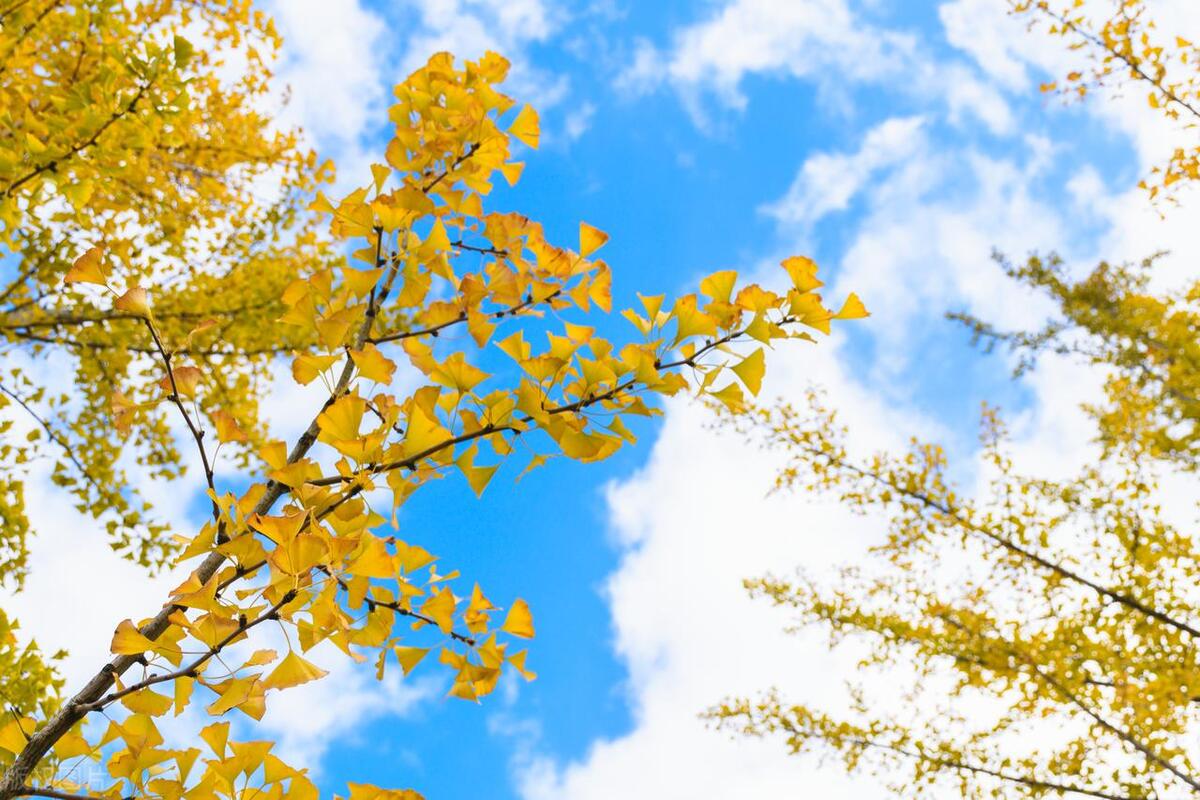 工作照拍摄技巧与角度,拍摄产品技巧与角度视频